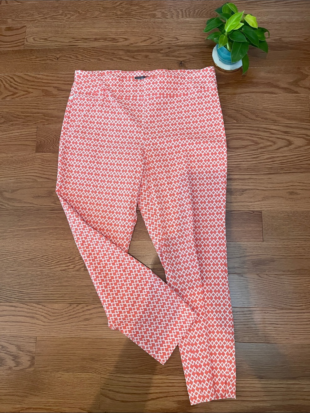 Van Heusen Coral Geometric Skinny Pants